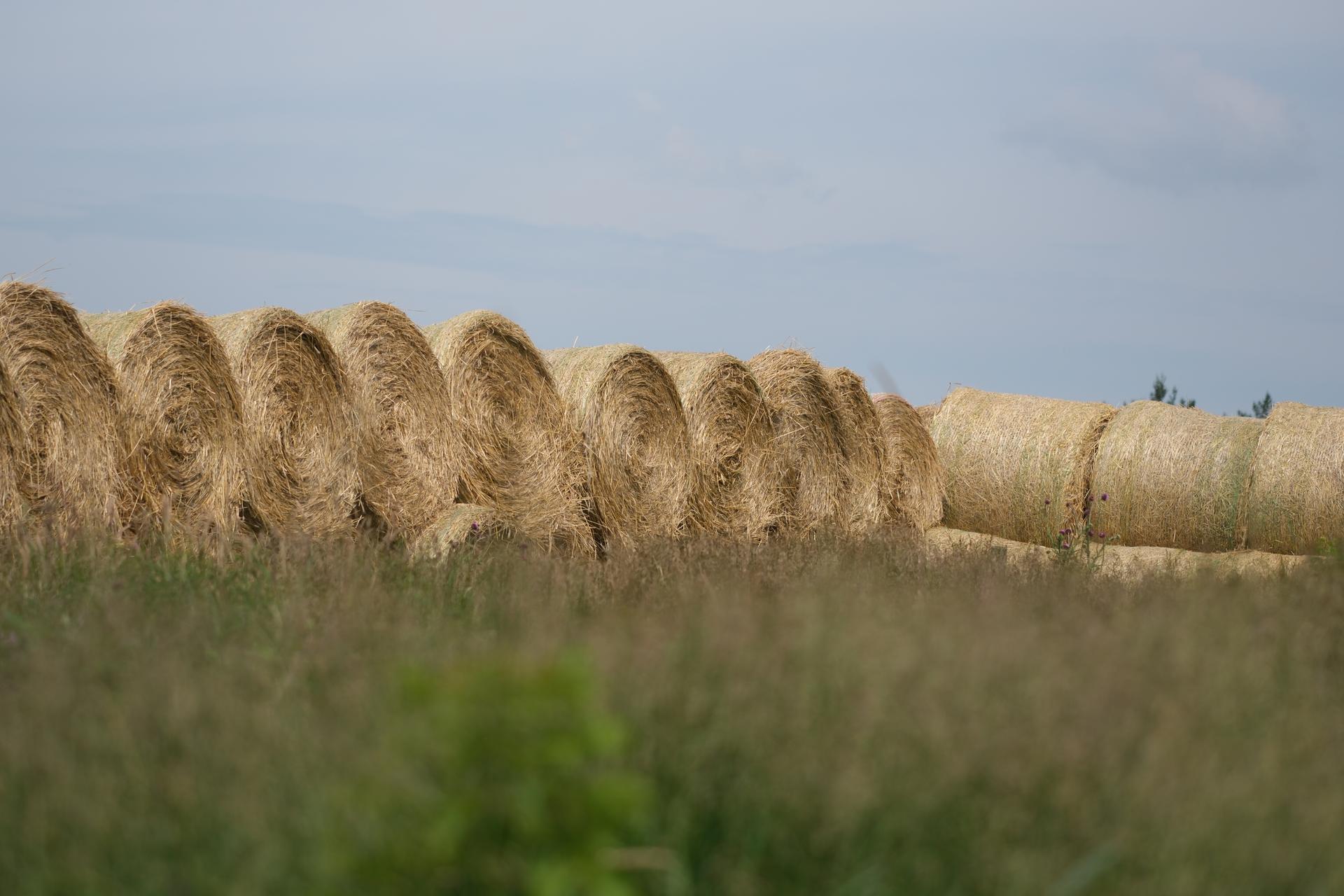 Bales